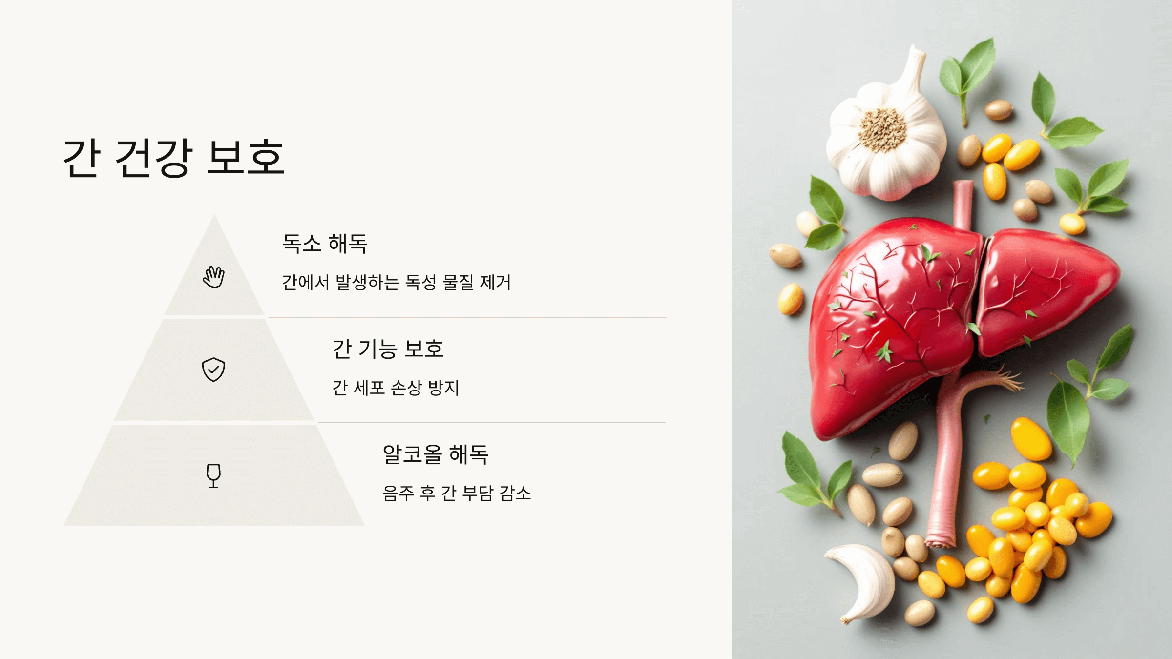 마늘 사진입니다.