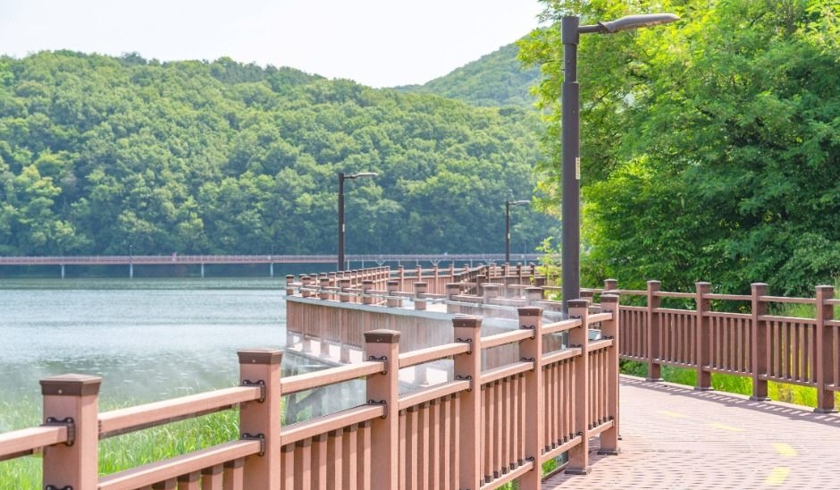 의왕 백운호수 생태탐방로