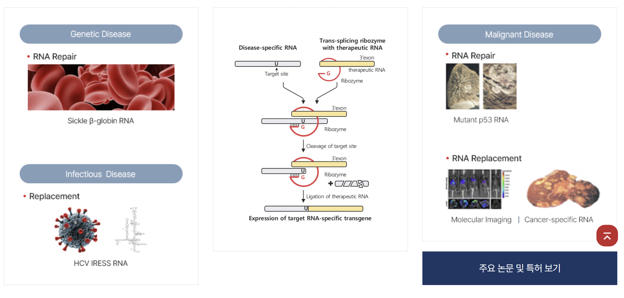 알지노믹스 공모주 상장일 청약 공모가 총정리