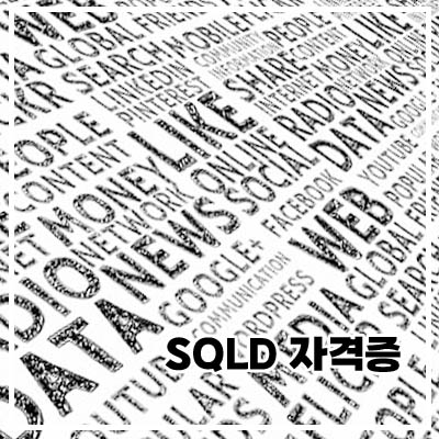SQLD 자격증2