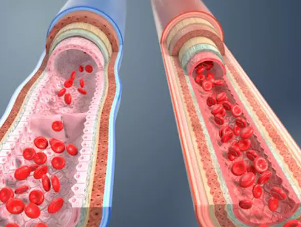아르기닌-복용법-효능-건강