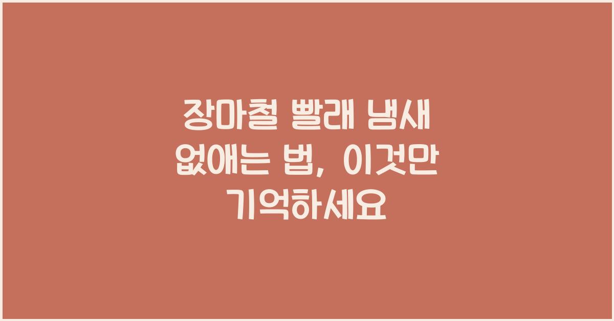 장마철 빨래 냄새 없애는 법