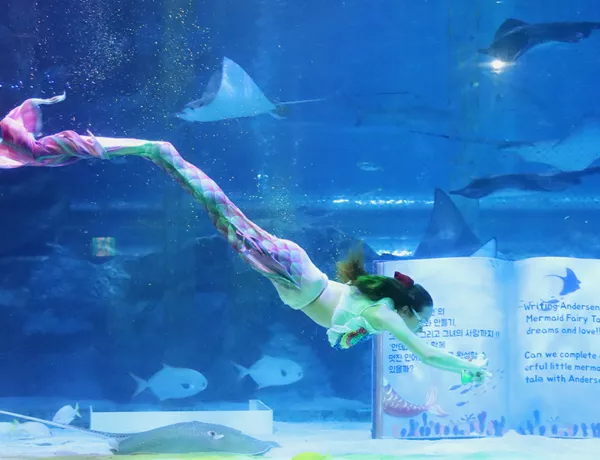 수조안 인어공주 공연