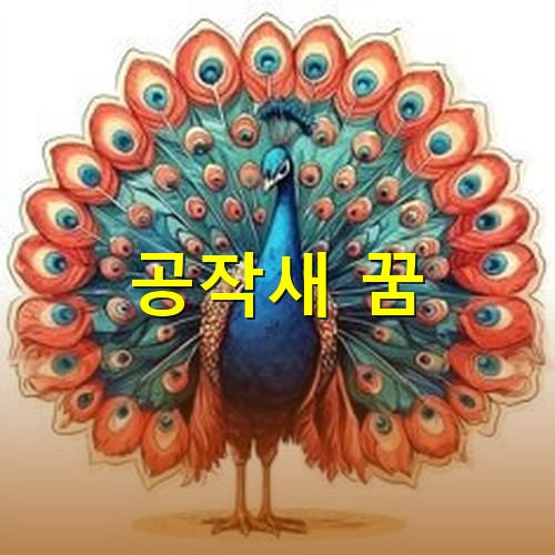 화려한-날개를-활짝-핀-공작새