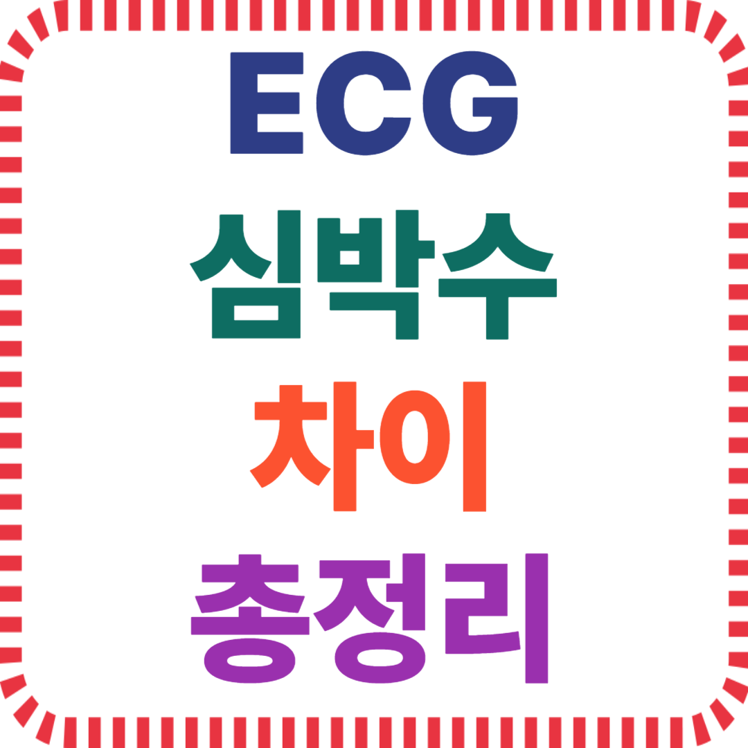 헷갈리는 ECG 기능, 스마트워치 심박수 차이, ECG 정확도 비교, 웨어러블 건강측정, 스마트워치 건강관리, 심전도 측정 기능