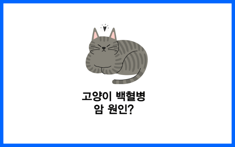 고양이-백혈병-고양이-암-원인-썸네일