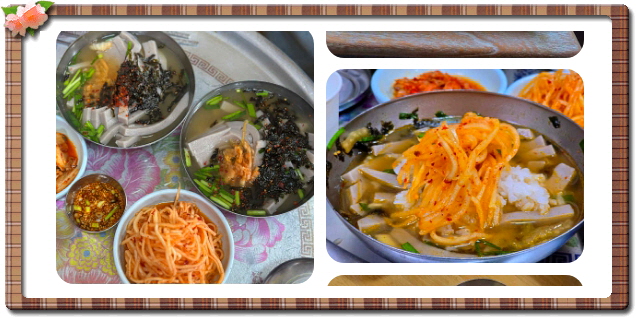 전현무계획2 대구 메밀묵채 메밀묵밥 정구지찌짐 후기