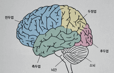 기억력 감퇴