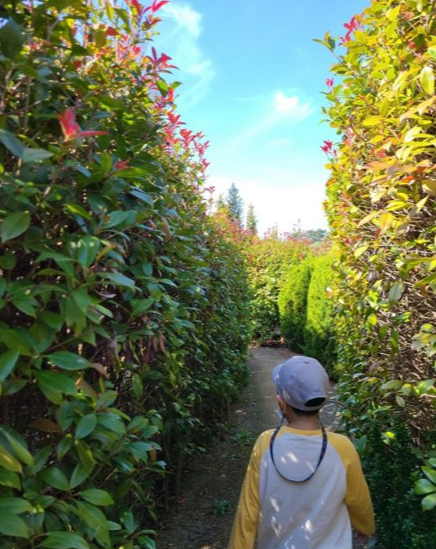 태안-청산-수목원