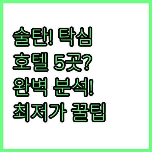 이스탄불 술탄아흐멧 탁심 호텔 5곳 ..