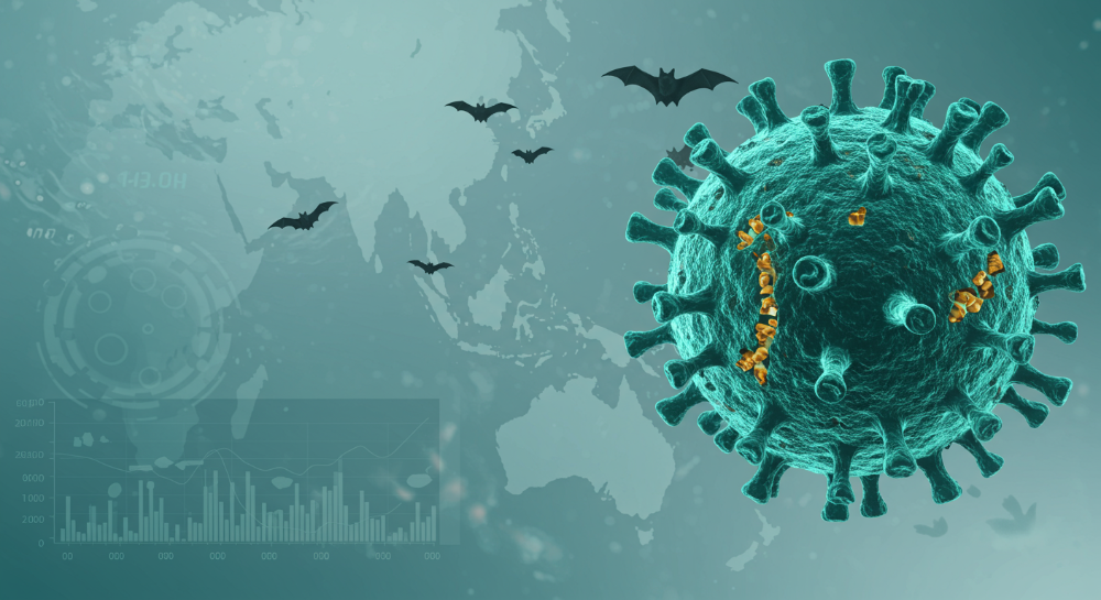 2025년 니파바이러스 완벽 요약 증상부터 치사율까지, '지금 바로 확인하세요'!