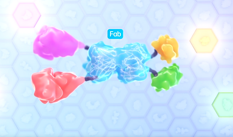 에이프릴바이오 SAFA플랫폼(출처=에이프릴바이오)