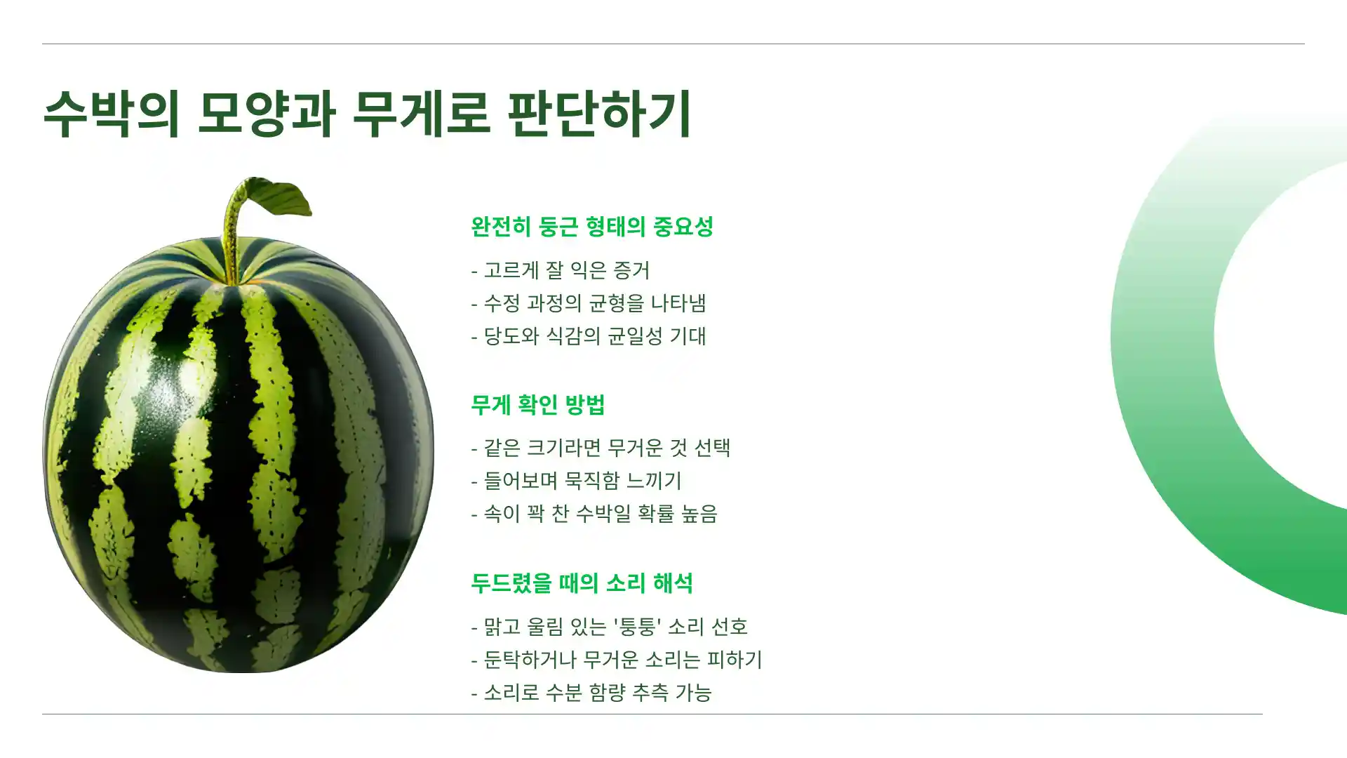 맛있는 수박 고르는 방법