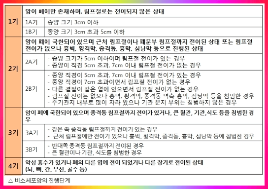 폐암 단계별 증상 및 크기