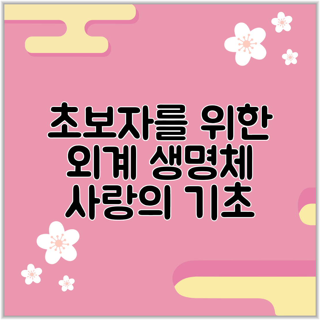 초보자를 위한 외계 생명체 사랑의 기초