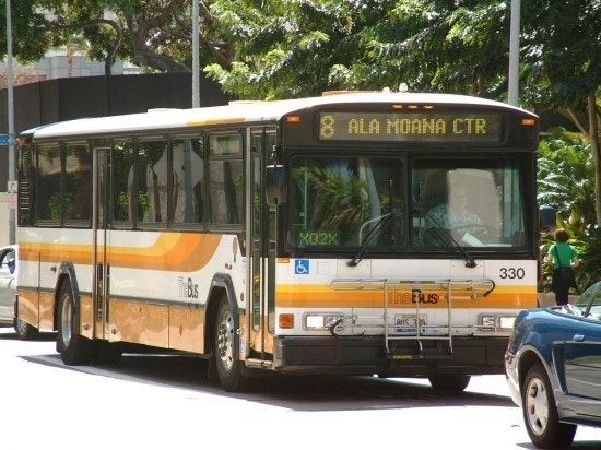 하와이-오아후-더버스-사진