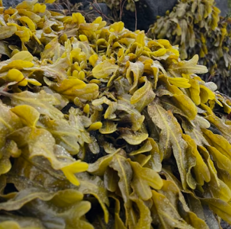 이석증 증상 후유증 원인 예방치료방법