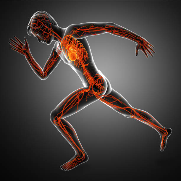 고지혈증 증상, 수치, 좋은음식과 나쁜음식 총정리