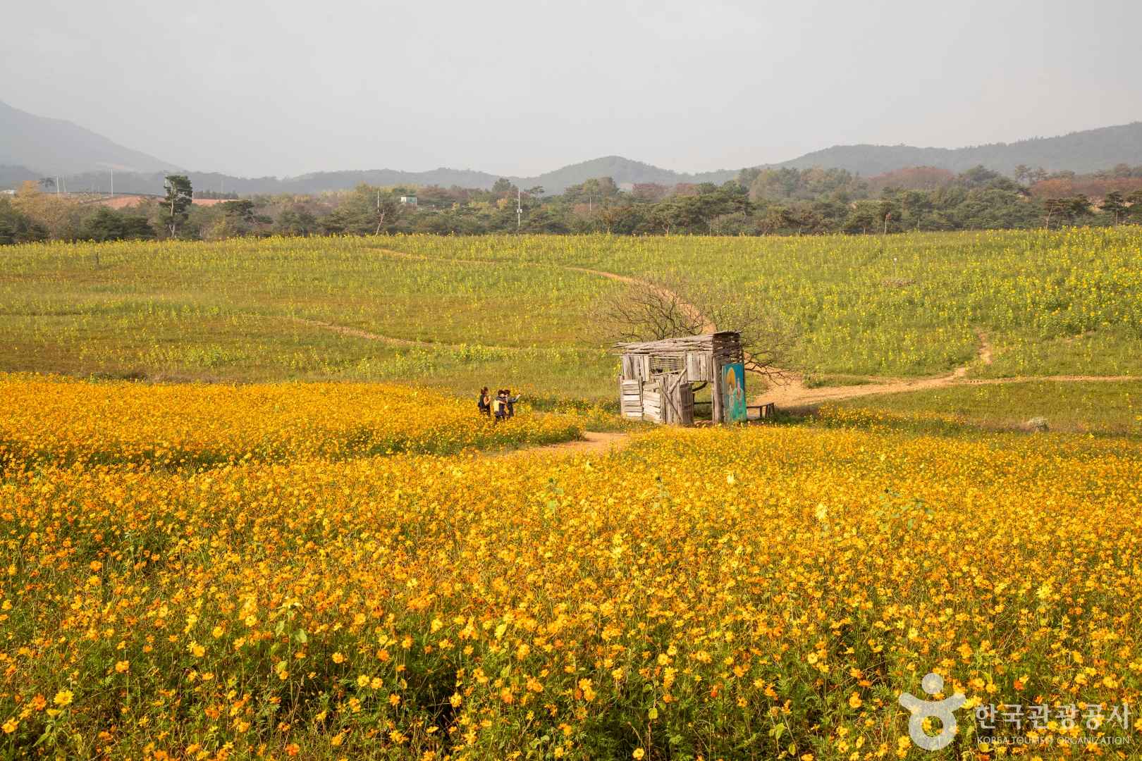 보리나라 학원농장