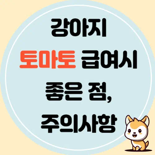 강아지 토마토 급여시 좋은 점과 주의사항