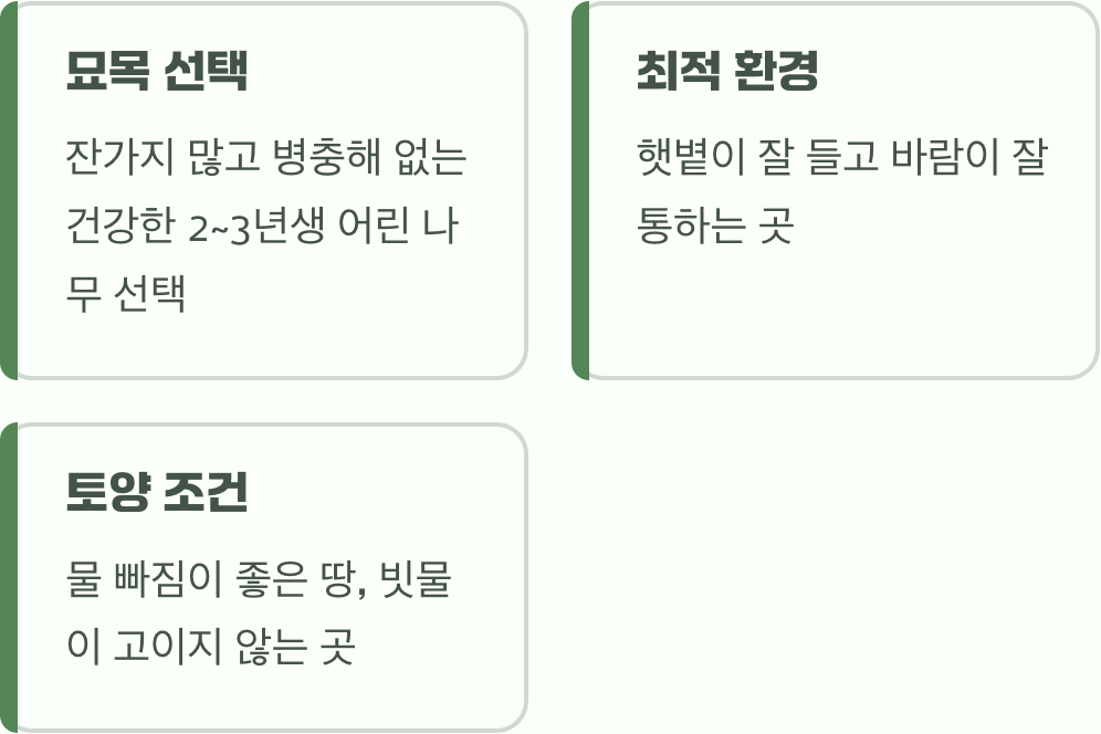 첫 단추, 햇살 가득한 명당자리