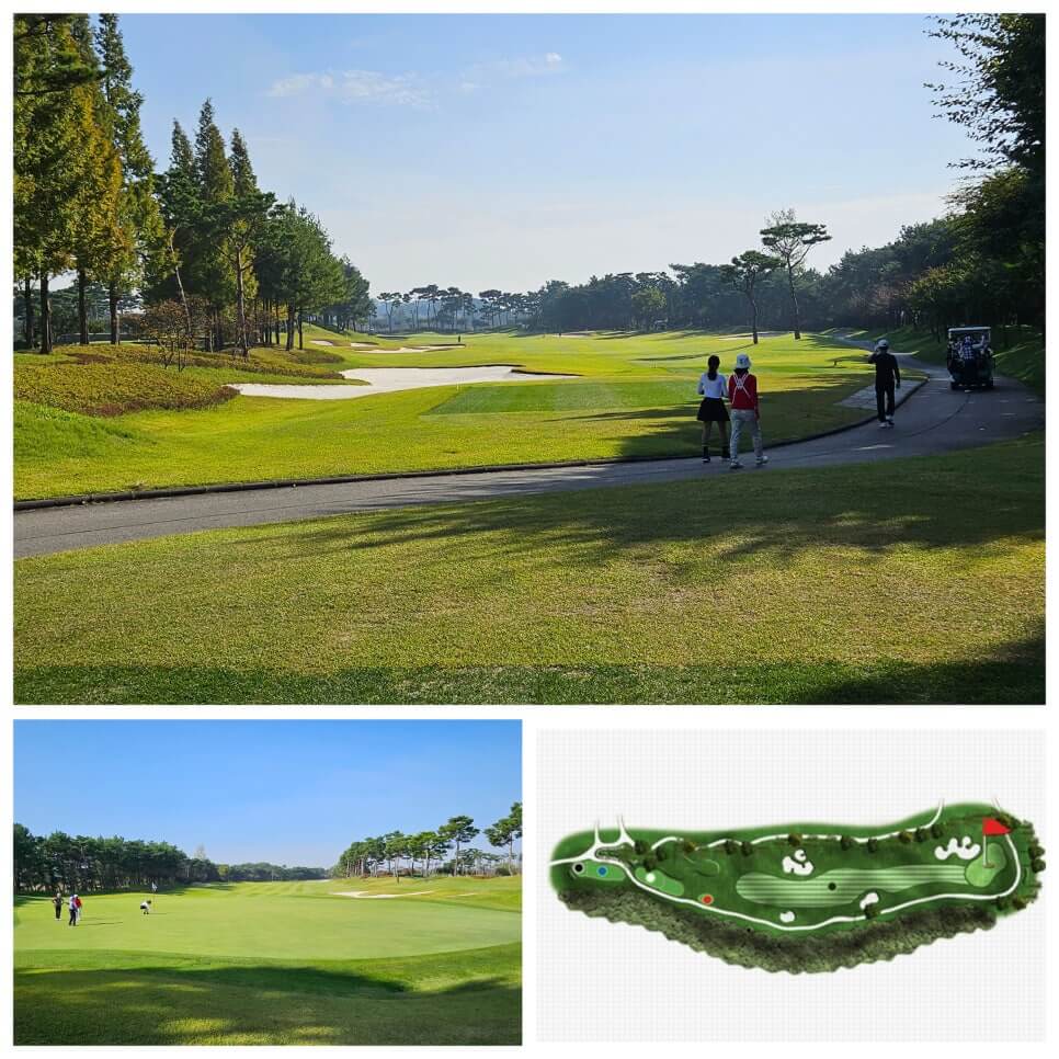 골프장 경험담 당진 파인스톤cc 대형 멋진 정원에서 환상의 골프 운동