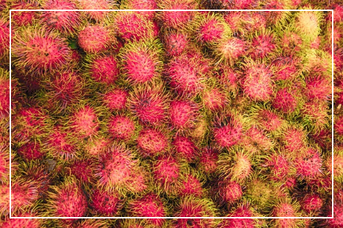 람부탄 먹는법 활용 