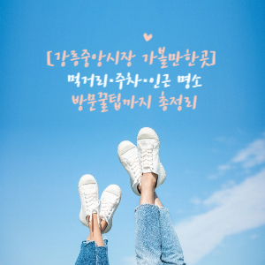 강릉중앙시장 가볼만한 곳