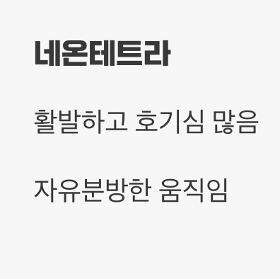 성격의 차이, 얌전한 귀족 vs 활발한 꼬마