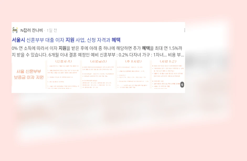 서울시 지원 혜택_2_subsection