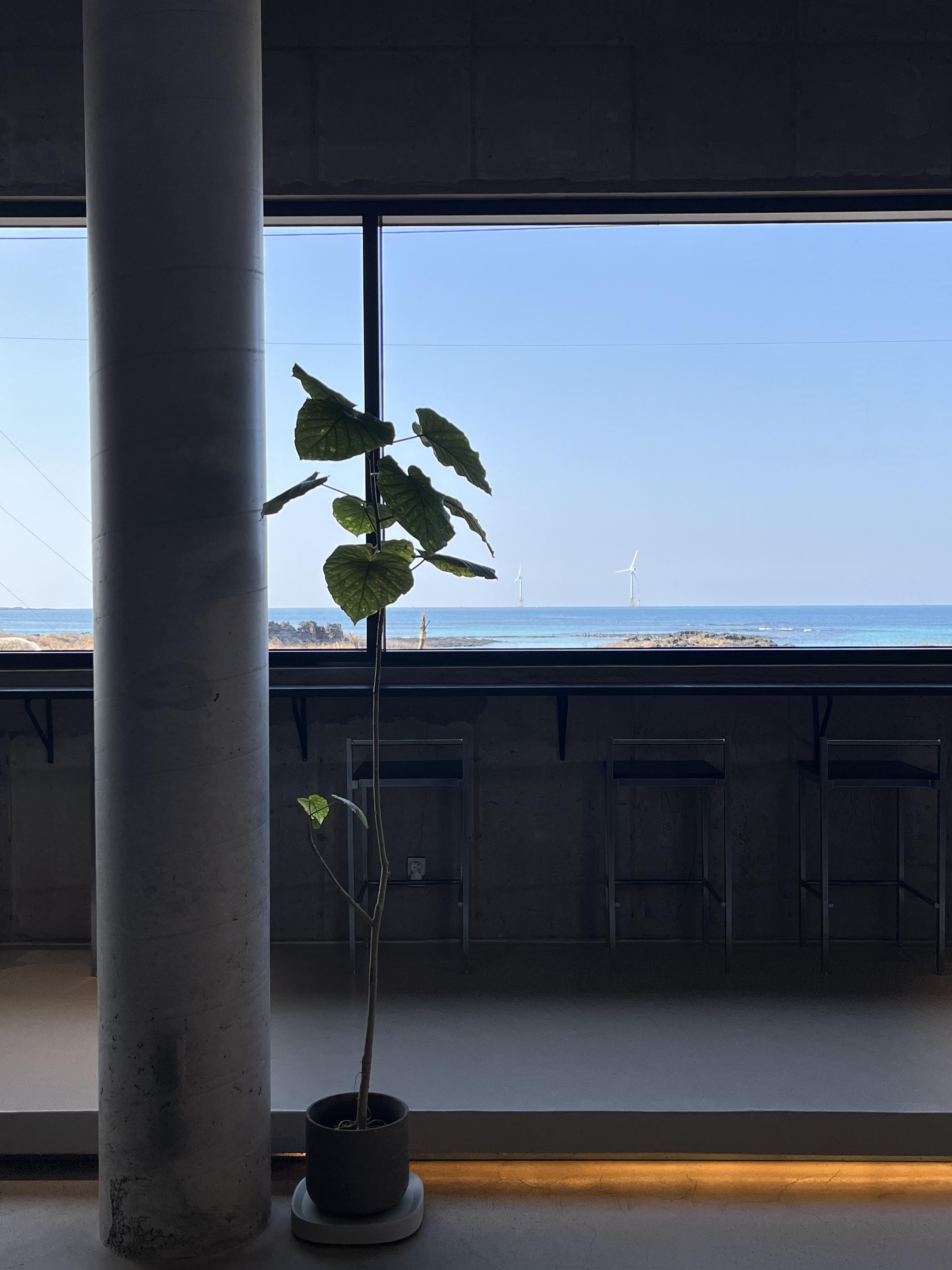 제주 조천 오션뷰 코난비치 레이오버 카페