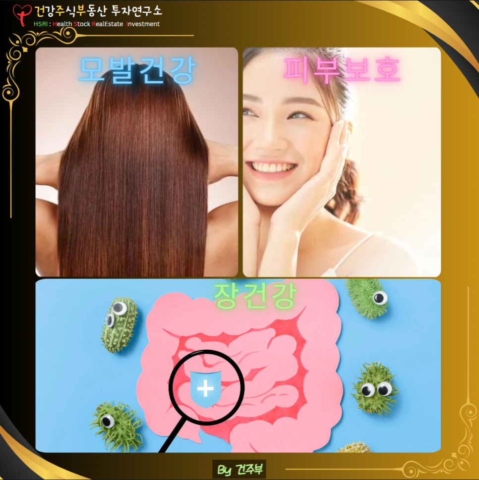 모발건강, 피부보호, 장건강

(글 그림 : 건주부, 그림 출처 : Canva)