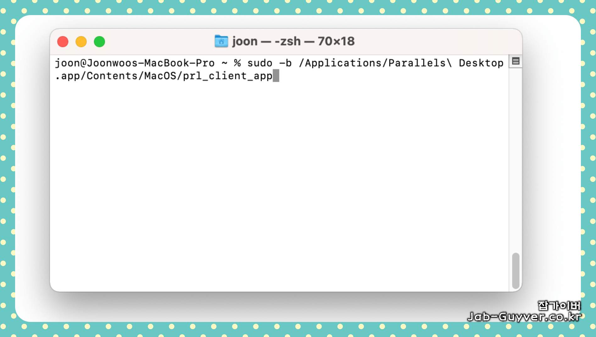 macOS 개인정보 보호 보안 Parallels Desktop 네트워크 권한 허용