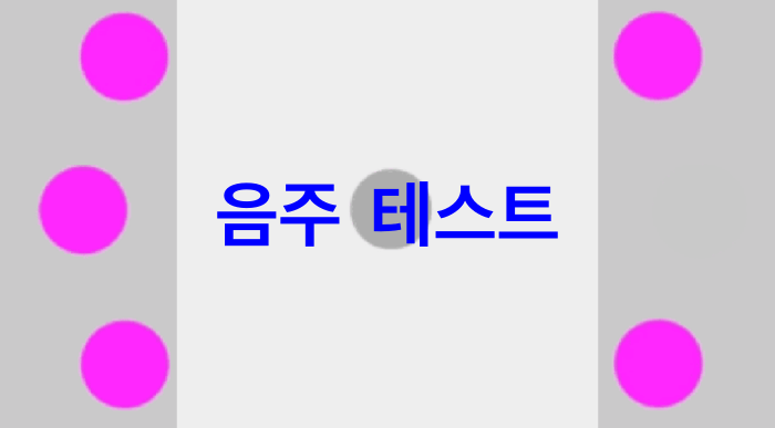 음주-테스트