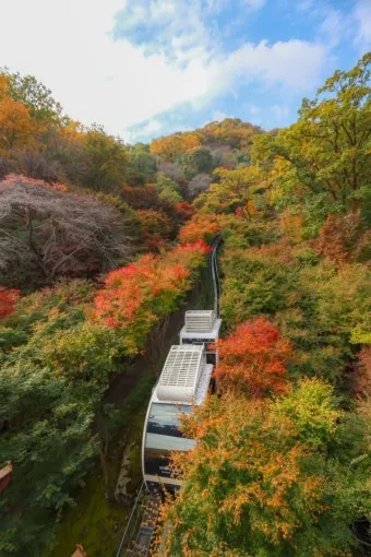 화담숲 단풍 절정시기 예약 방법까지 정리_17