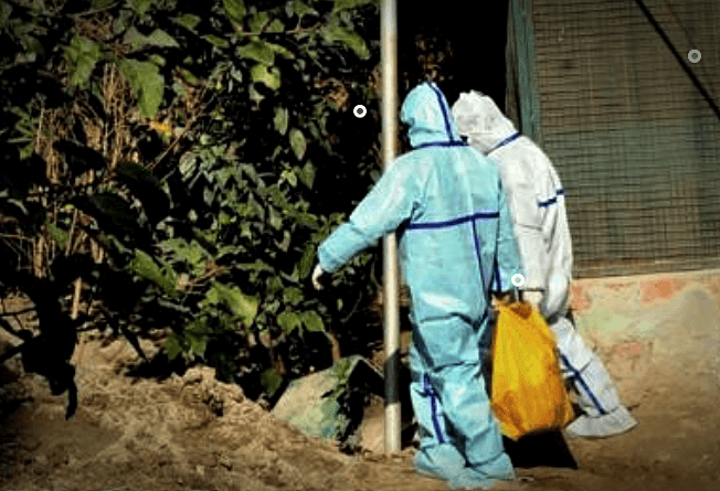 조류인플루엔자