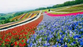 홋카이도 여름 여행코스 4박5일 일정과 맛집 정보 정리_16