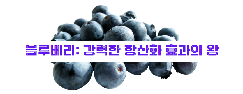 블루베리: 강력한 항산화 효과의 왕