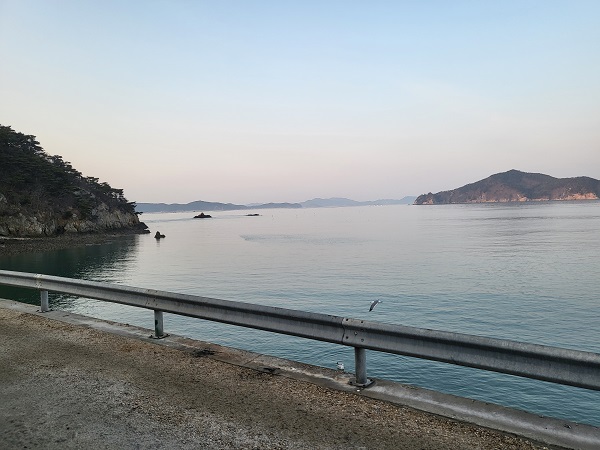 태안 신진도 마야회집-7