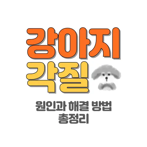 강아지 각질