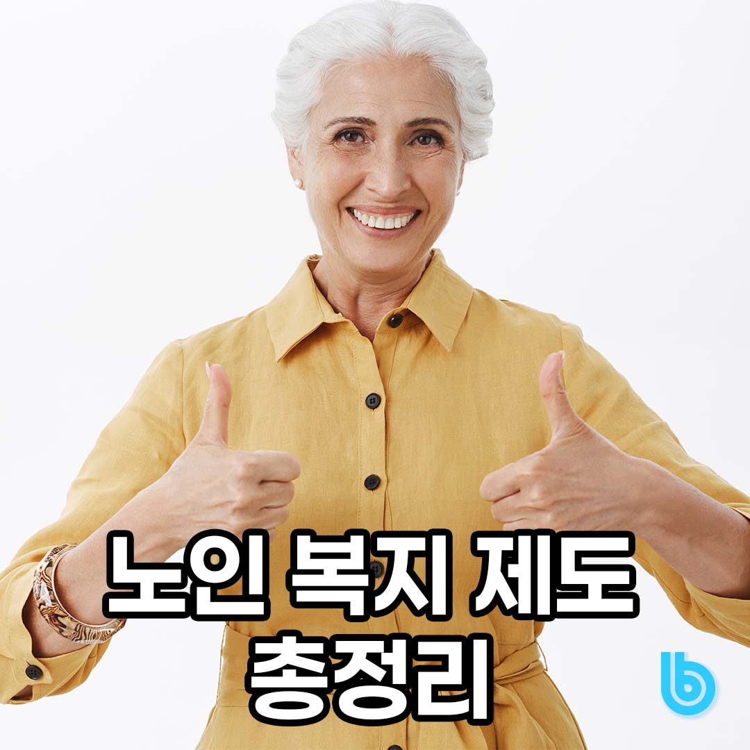 노인 복지 제도