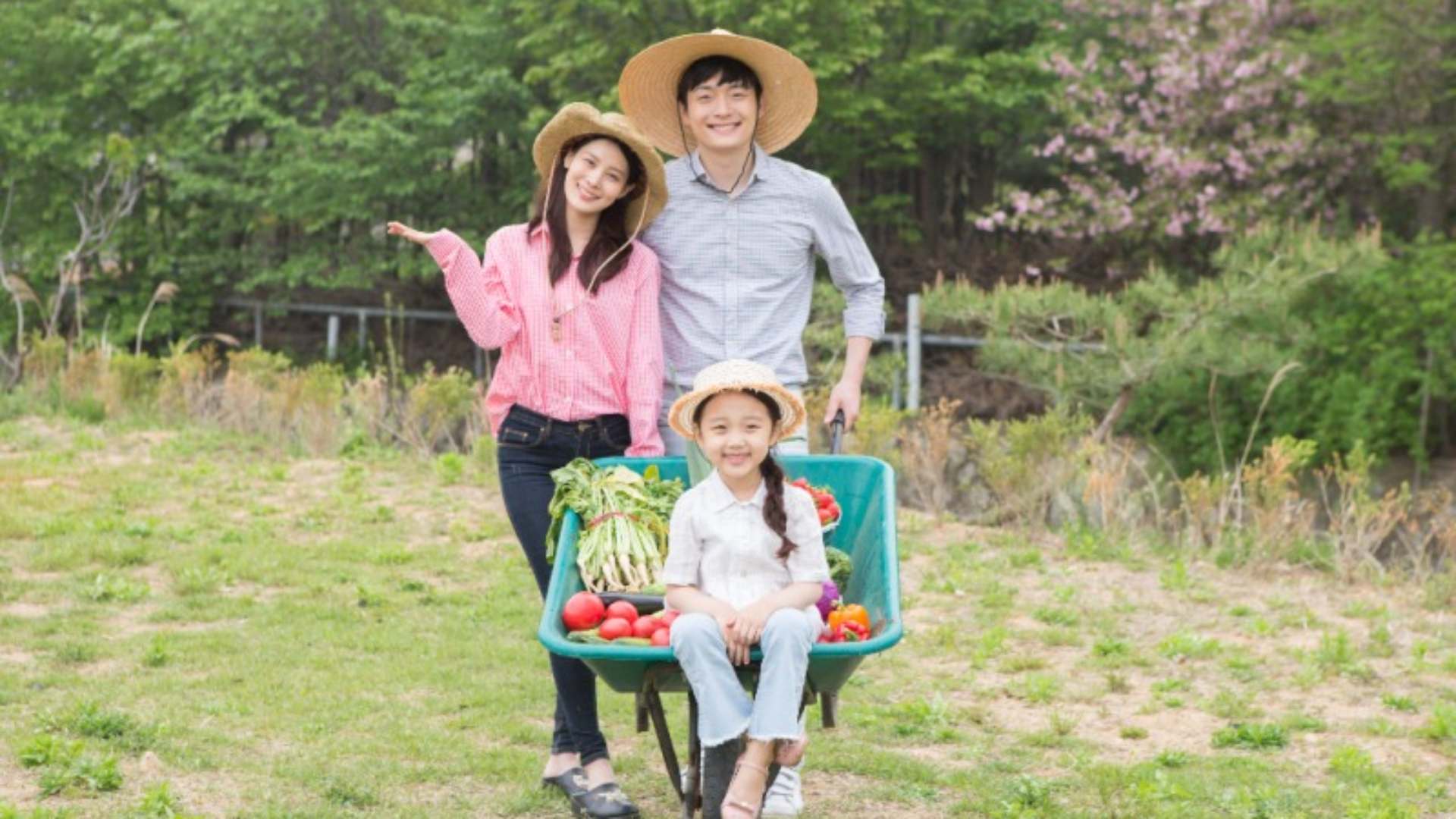 공익직불금 신청 방법 (신청자격, 지급시기)