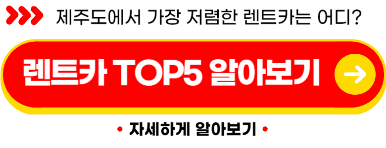 제주도 렌트카 저렴한곳 TOP 5 (실제후기)