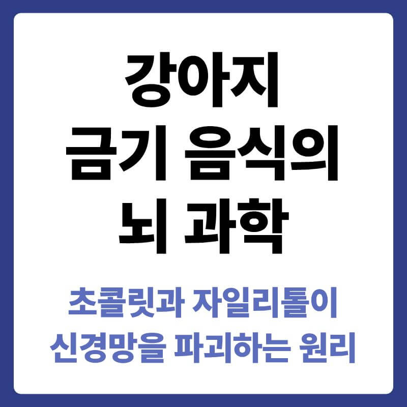 초콜릿의 테오브로민과 자일리톨 성분이 반려견의 혈류를 타고 들어가 각각 중추신경계 교란 및 급격한 저혈당 쇼크를 유발하는 생화학적 기전을 설명하는 안내 이미지