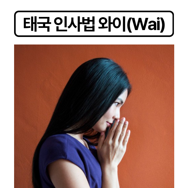 태국 인사법 와이
