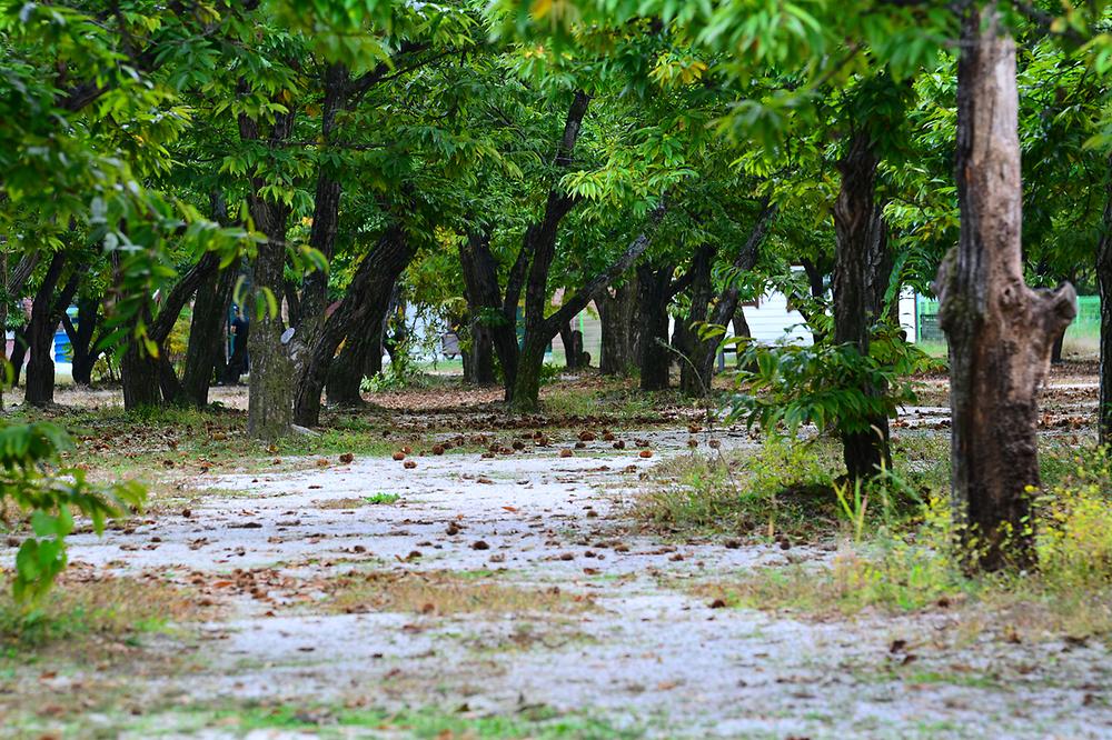 가평 '무지개 서는 마을' 캠핑장 소개