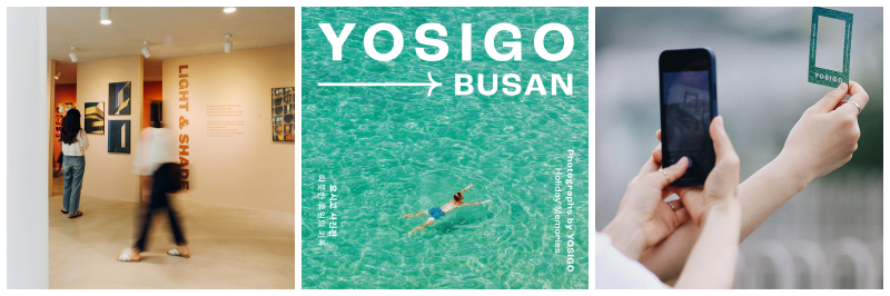 요시고 사진전 사진 3개