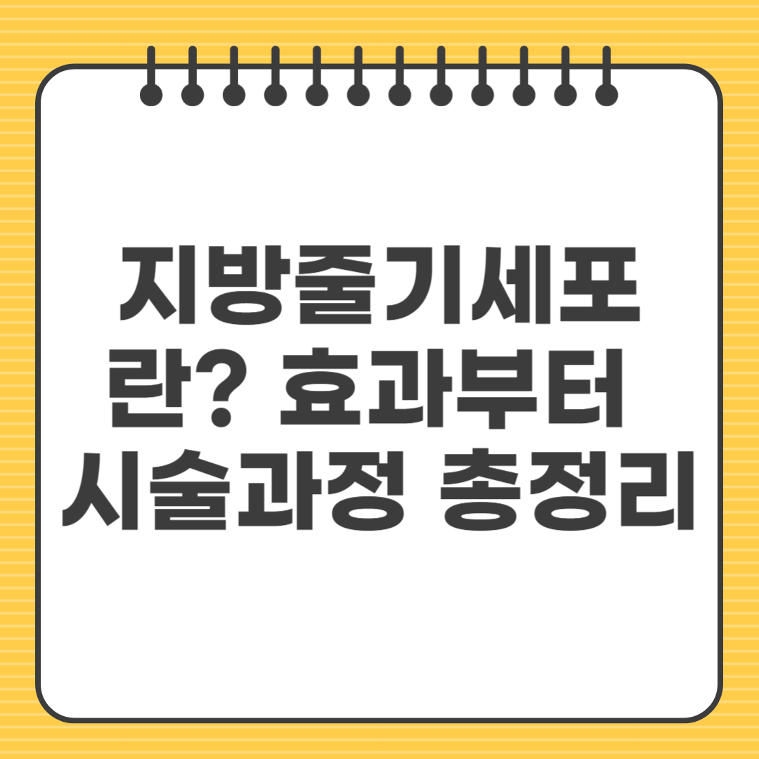 지방줄기세포란? 효과부터 시술과정, 부작용까지 총정리