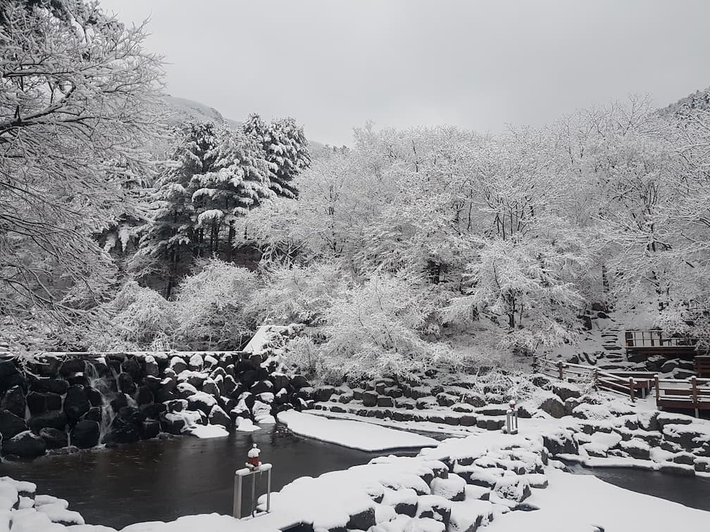눈덮인 축령산휴양림 물놀이장