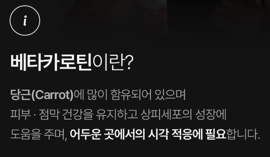 솔티스-사진4